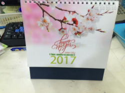 In lịch tết 2017 giá rẻ