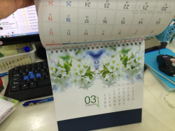In lịch Tết âm dương 2017 đặc biệt ấn tượng