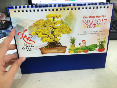 Mẫu lịch để bàn 2017 - Chủ đề Hoa mai 1 Mẫu lịch để bàn 2017 - Chủ đề Hoa mai 1