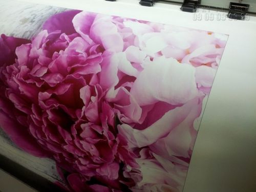 In tranh canvas l&agrave;m trang trang tr&iacute; ph&ograve;ng kh&aacute;ch tại In Kỹ Thuật Số