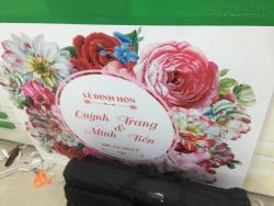 In PP bồi formex là gì?