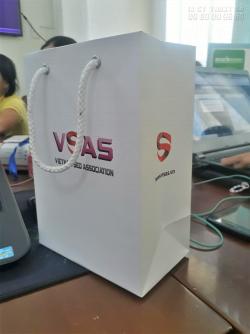 In túi giấy đựng quà Tết, sinh nhật, đựng rượu đẹp giá sỉ