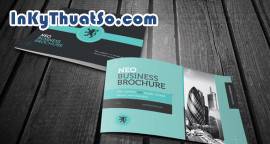 Cảm hứng thiết kế Brochure sáng tạo