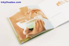 Giới Thiệu Thiết Kế Brochure Đẹp