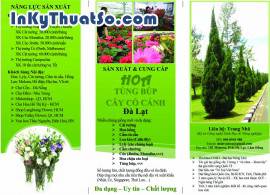 In Brochure bằng giấy couche chất lượng cao cho công ty Đà Lạt xứ hoa