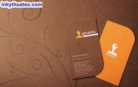 Mẫu Thiết Kế Business Card Ấn Tượng ( Phần 2)