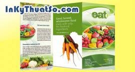 Những mẫu Brochure tuyệt đẹp