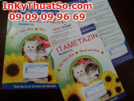 Top những mẫu tờ rơi đẹp nhất.