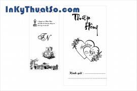 Vector mãu thiệp đẹp 2013