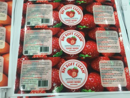 Bộ tem nhãn Decal sữa dán bình xà phòng rửa tay đẹp, in nhanh đảm bảo nội dung và thiết kế theo yêu cầu khách hàng Bộ tem nhãn Decal sữa dán bình xà phòng rửa tay đẹp, in nhanh đảm bảo nội dung và thiết kế theo yêu cầu khách hàng