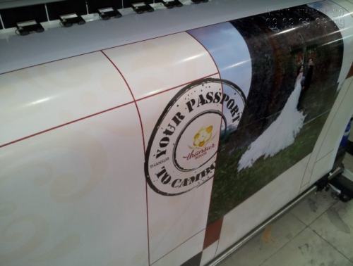 In Decal logo chất lượng cao, tuyệt đẹp tại Công ty TNHH In Kỹ Thuật Số - Digital Printing In Decal logo chất lượng cao, tuyệt đẹp tại Công ty TNHH In Kỹ Thuật Số - Digital Printing