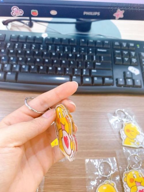 In mica làm móc khóa  - Ảnh: 2