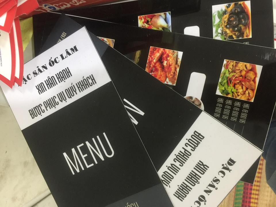 Menu bìa cứng, bìa Carton