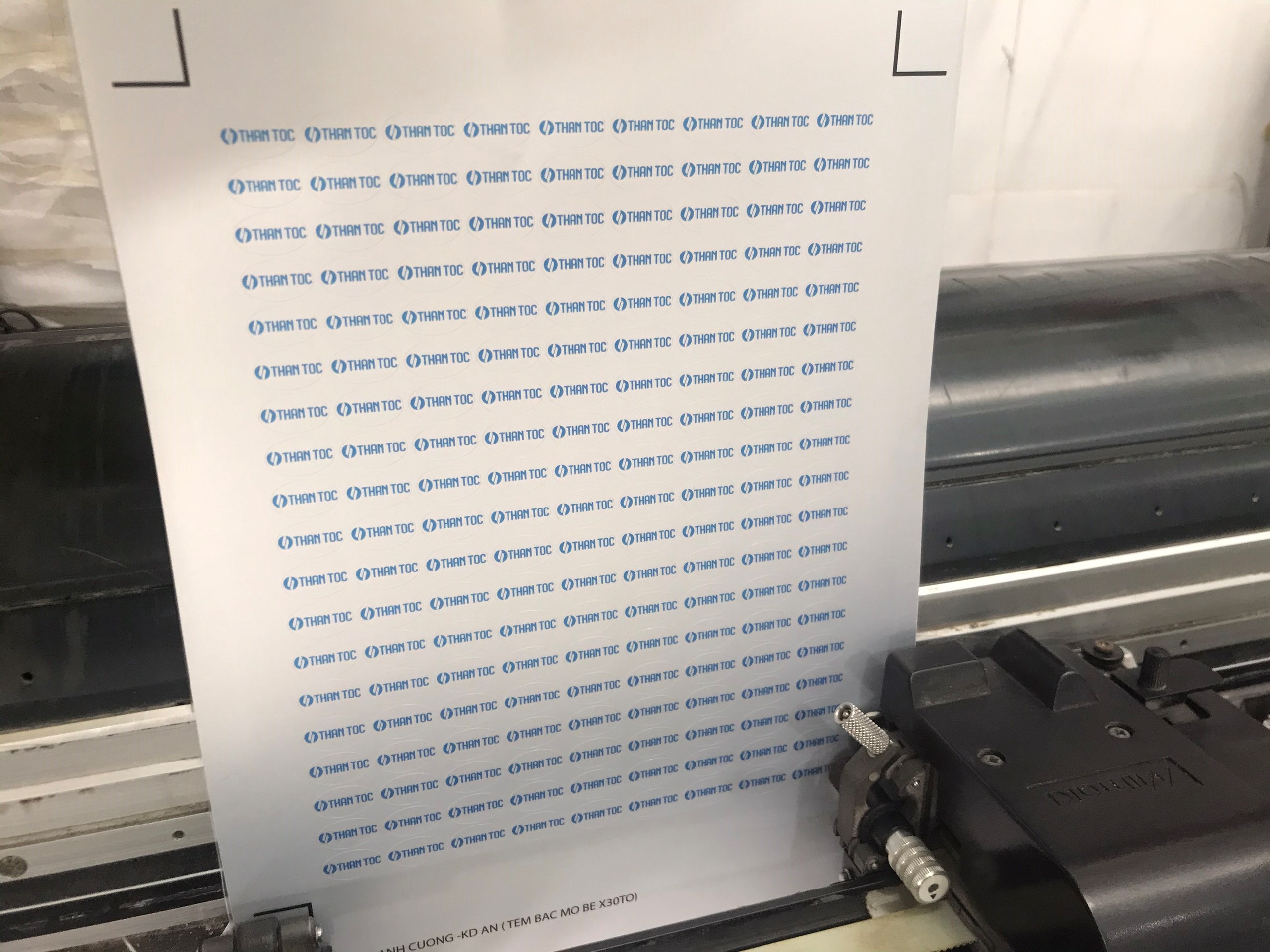 in tem decal bạc, bế